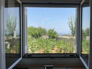 Apartment Areti