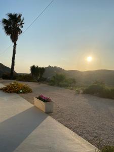 Baglio Quadrone bovo Marina