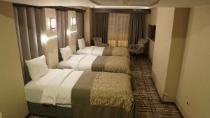 Triple Room room in Green Prusa Hotel