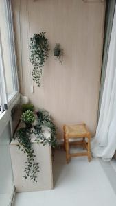 Apartamneto Vicente Blasco Ibañez