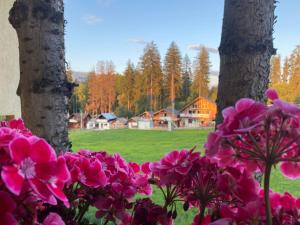 Pensiunea "Casa Frasin"