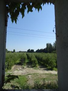 Appartements Logement charme provencal : photos des chambres