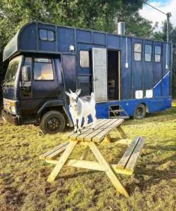 North Yorkshire Horse Box - Kirby Misperton