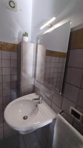 LechicchediLampedusa