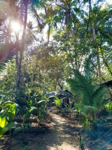 Fully Furnished FAMILY JUNGLE TENT, Latino Glamping Paquera