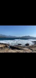 Appartements COEUR DE CALVI : Appartement 1 Chambre