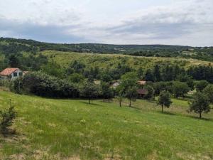 Zemplén Cottage (breakfast&Tokaj wine tour)