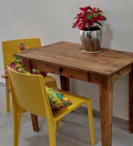 Lindo estúdio no Campeche