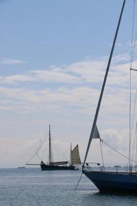 Appartements Gite Le Bolzen : photos des chambres