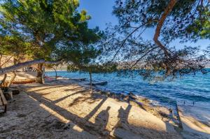 Apartment Pine Haven