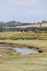 Appartements Gite Le Bolzen : photos des chambres