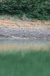 Appartements Gite Le Bolzen : photos des chambres