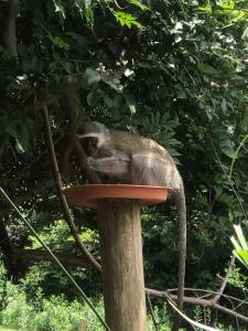 Iris Retreat & Island Day Spa