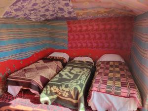 Sahara Camel Trek