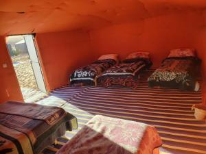 Sahara Camel Trek