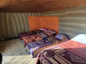 Sahara Camel Trek