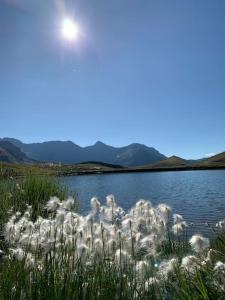 Chalets Superbe chalet avec vue montagne : photos des chambres