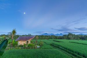 IPIAN Cinta by GenuineHost