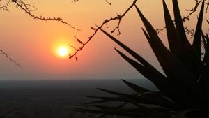 Aloegrove Safari Lodge