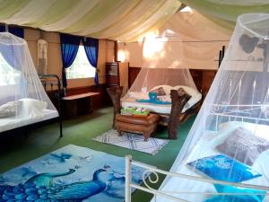 Fully Furnished FAMILY JUNGLE TENT, Latino Glamping Paquera