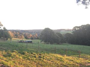 Patsys Gate - Red Hill South