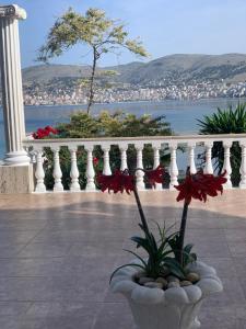 Double Room with Balcony and Sea View room in Hotel Dodona
