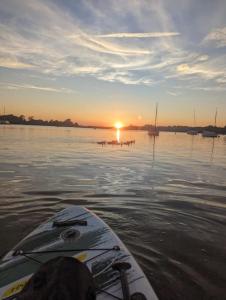Luxury Penthouse Apartment