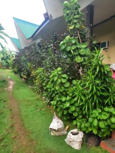 ORALIZA RESIDENCE HOUSE RENTAL