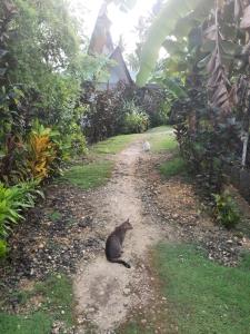 ORALIZA RESIDENCE HOUSE RENTAL