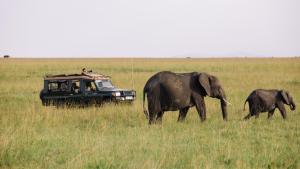Soroi Mara Bush Camp