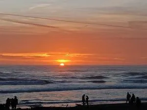 Avenza Dream - Avenza