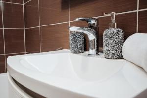 Apartment Double S city ​​centre