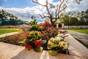 Villa Aurora by Istrialux