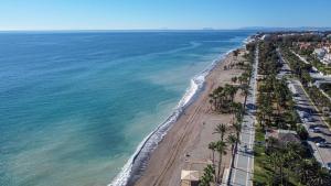 Noray Ingemar Bajo A