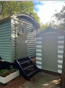 Jasmin - Threemilestone