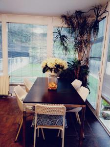 Amazing VillaViews over Kontxa Beach