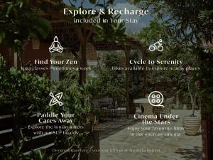 Anemelia Retreat - Explore & Recharge