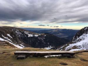Chalets Chalet Cosy Lisiere de Foret : photos des chambres