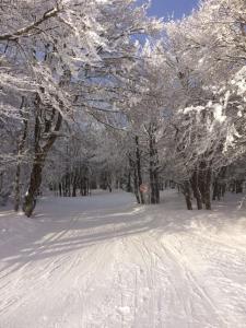 Chalets Chalet Cosy Lisiere de Foret : photos des chambres