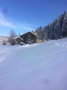 Chalets Chalet Cosy Lisiere de Foret : photos des chambres
