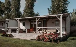 Chalet Tulpenweide - recreatie - Breezand