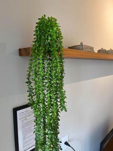 Casa na praia com churrasqueira - Bal. Camboriú