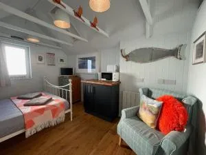 Cilia Marys Annexe St Teath - 卡姆尔福德