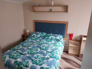 PG37 6 BERTH CARAVAN , GOLDEN PALM , CHAPEL