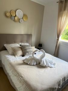 Evasion 4 étoiles Spa privé aux Libellules 12 pers Montagne Vosges