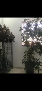 Maison récente très spacieuse