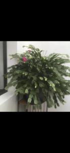 Maison récente très spacieuse