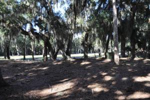 Palmetto Breeze, Golf Course New furniture, carpet