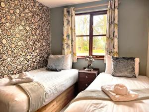 Goldcrest 4-Hot Tub-Woodland Lodges-Carmarthenshire-Tenby