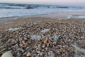 Cottages Normands (deux maisons)